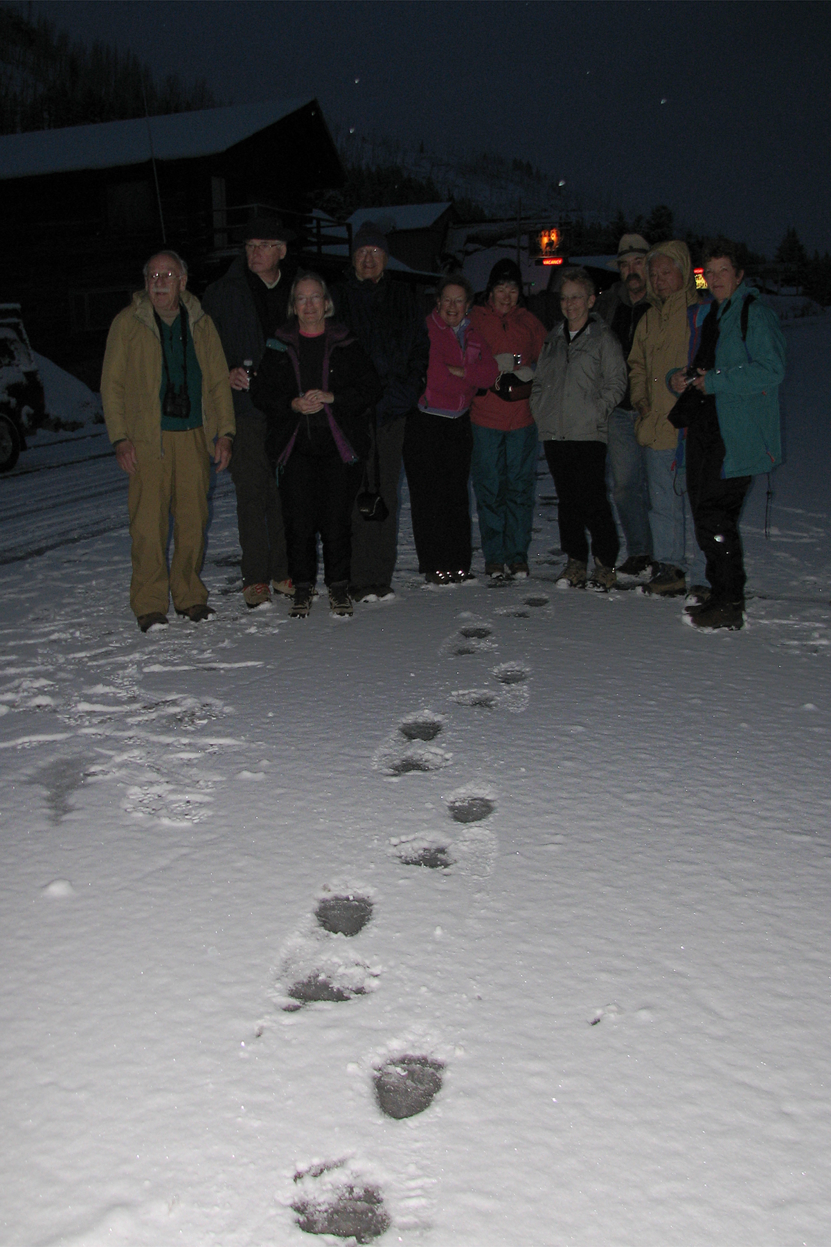 class examines grizzly tracks in Cooke City